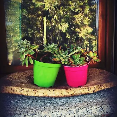 Bed and breakfast Munduge Lotzorai