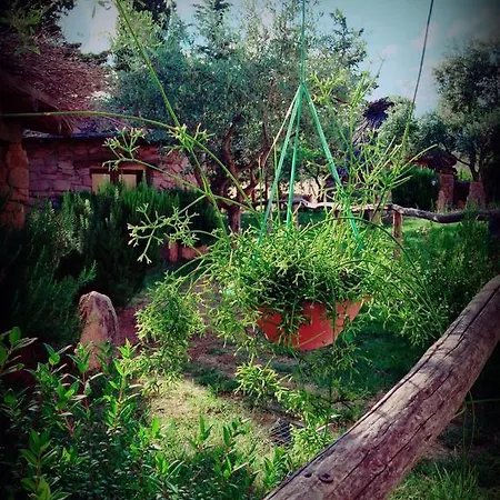 Bed & Breakfast Agriturismo Munduge *