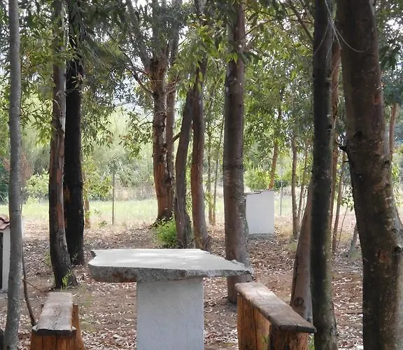 Munduge Lotzorai